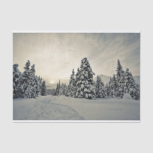 Winter Magic Tissue Paper