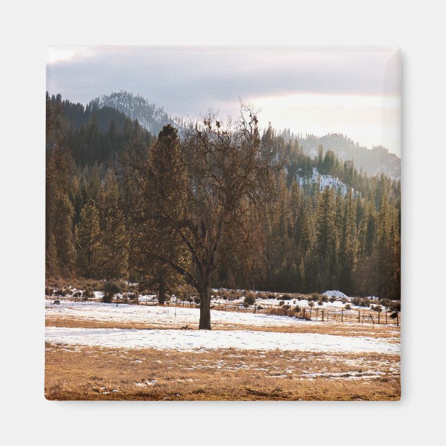 Winter..... Magnet (Front)