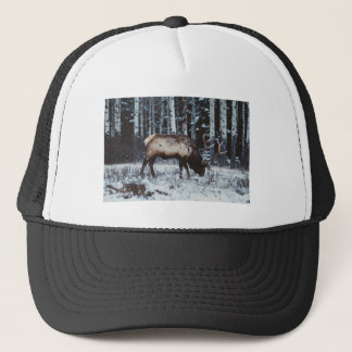Winter Majesty: Elk in Snow Trucker Cap