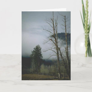Winter Mist Greetings Card