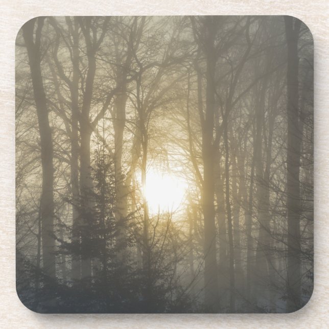 Winter mood coaster (Front)