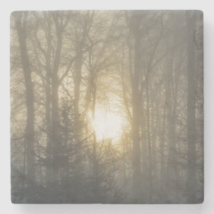 Winter mood stone coaster