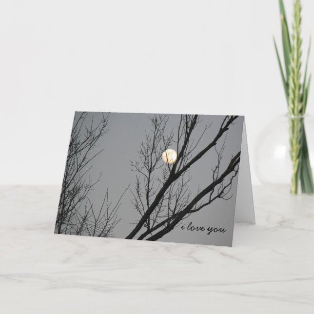 Winter moon, I love you to the moon and back Card (Front)