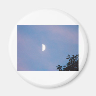 Winter Moon Magnet