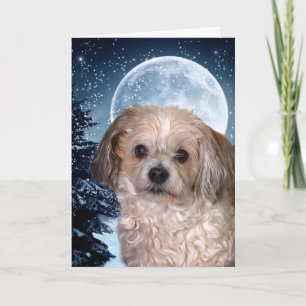 Winter Moon Smitty Holiday Card