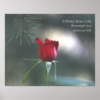 WInter Moonlight Rose Poster: ROSE & PROSE 20x16 Poster
