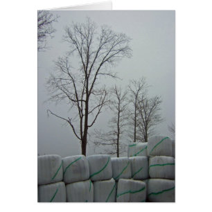 Winter Morning 5x7