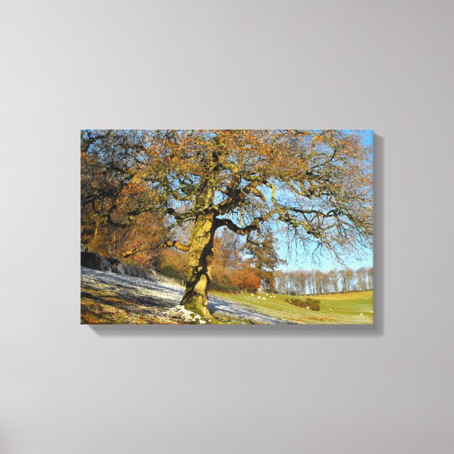 Winter morning canvas print (Front)