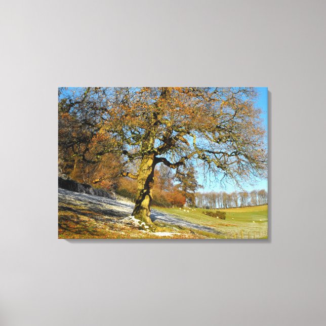 Winter morning canvas print (Front)