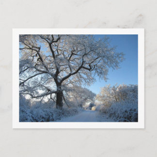 Winter Morning: Cheshire Postcard