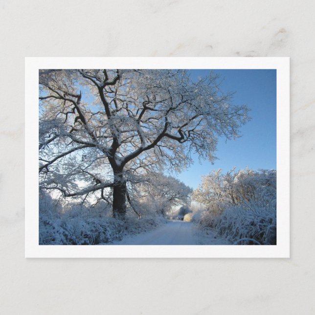 Winter Morning: Cheshire Postcard (Front)