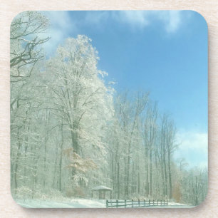 winter morning coaster