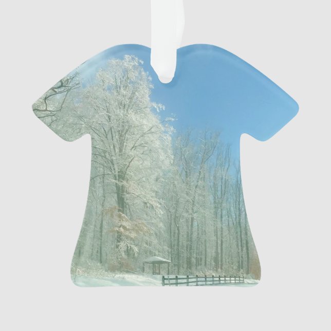 winter morning ornament (Front)