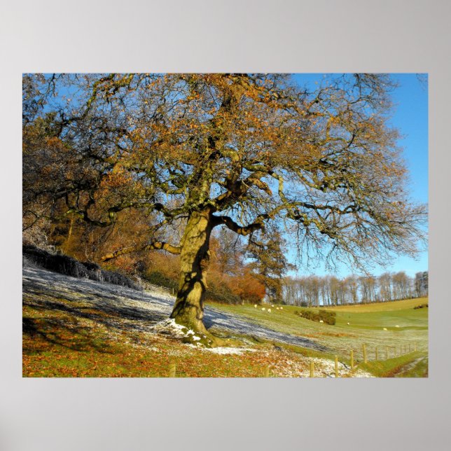 Winter morning poster (Front)