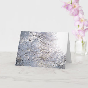 Winter Morning Snow Frosty Branches Nature Card