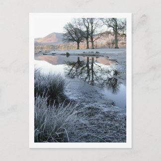 Winter Morning: Strandshag Bay, Derwentwater Postcard