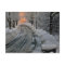 Winter Morning Sunshine Photography