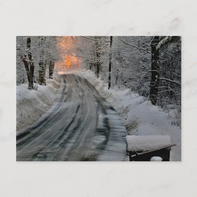 Winter Morning Sunshine Photography Postcard (Front)