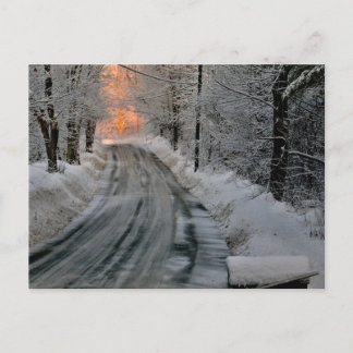 Winter Morning Sunshine Photography Postcard