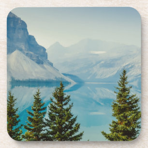 winter mountain lakes coaster