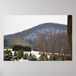 Winter Mountain View Poster