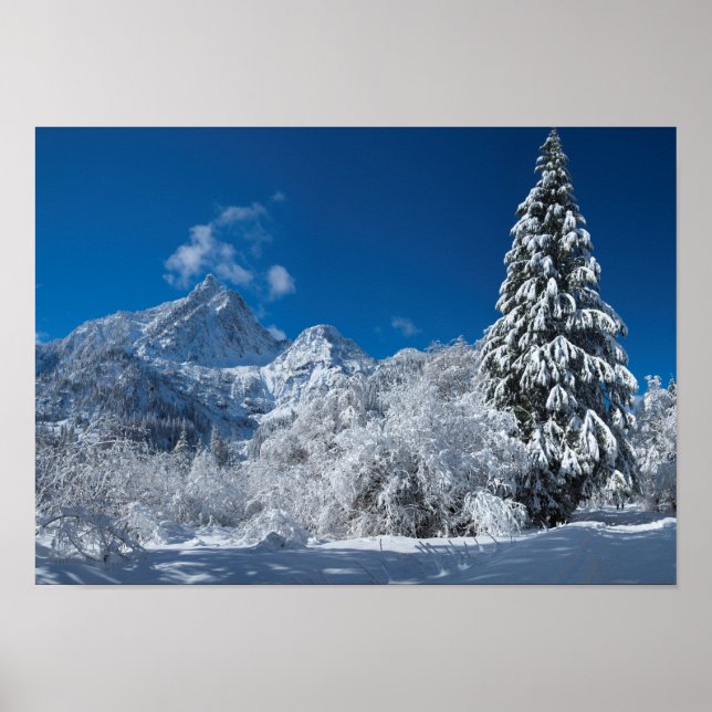 Winter Mountain Wonderland Poster (Front)