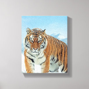 Winter Nature Photo Tiger Snow Mountains Canvas Print