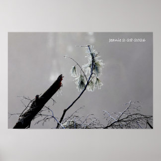 Winter nature poster