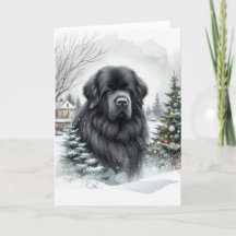 Winter Newf Holiday Card
