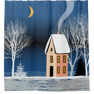 Winter night landscape. Cozy house, various trees,