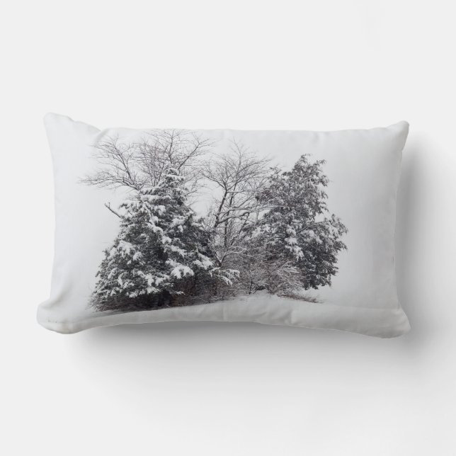 Winter Oasis Lumbar Pillow (Front)