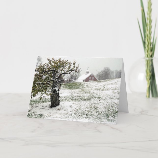 Winter on a Hollis, NH farm Holiday Card (Front)