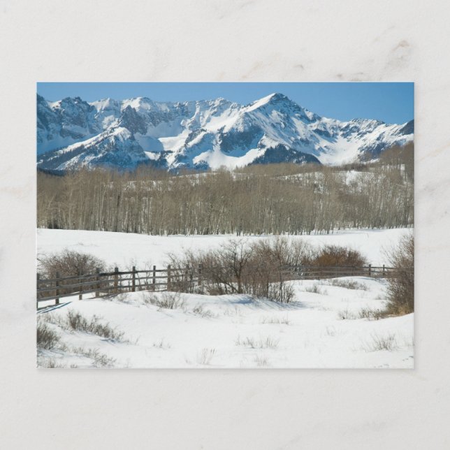 Winter on Dallas Divide Postcard (Front)