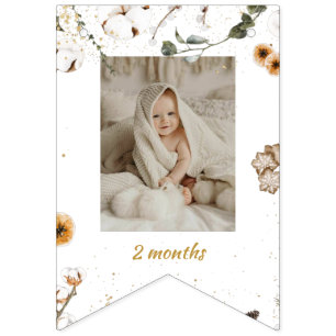 Winter Onderland Birthday Monthly Photo  Bunting Flags