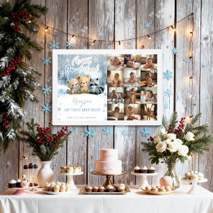 Winter Onederland Blue My First Year Photo Sign