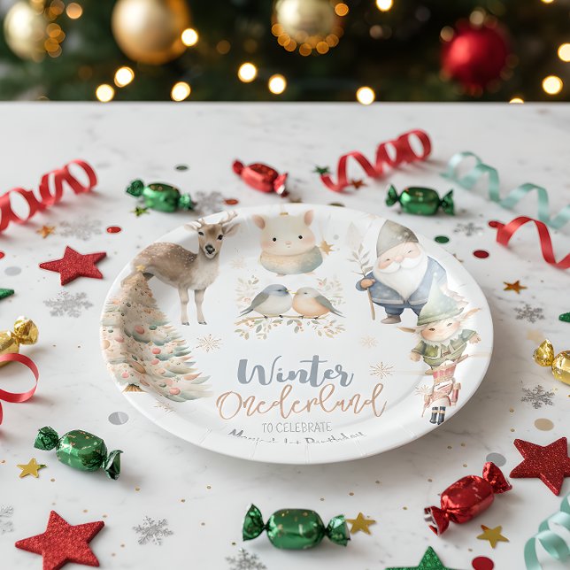 Winter onederland christmas birthday paper plate (Creator Uploaded)