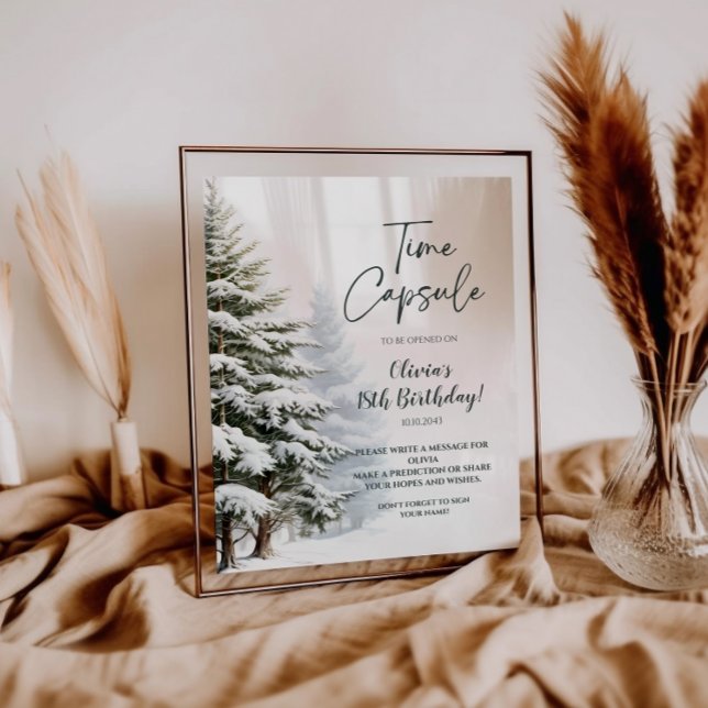 Winter Onederland Time Capsule Sign (Creator Uploaded)