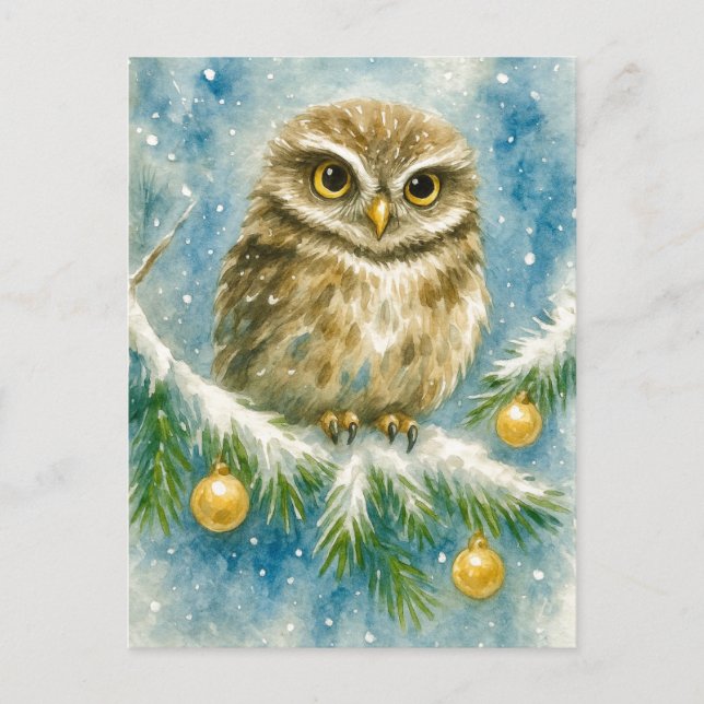 Winter Owl on Snowy Branch Christmas Postcard (Front)