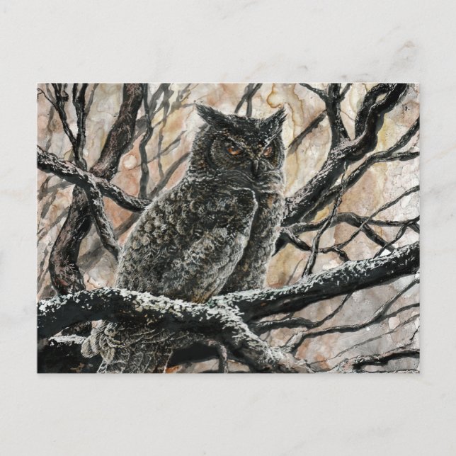 Winter Owl Postcard (Front)
