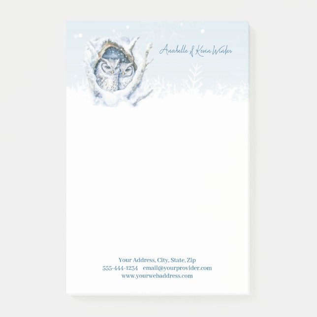 Winter Owls Snowflakes Post-it Notes (Front)