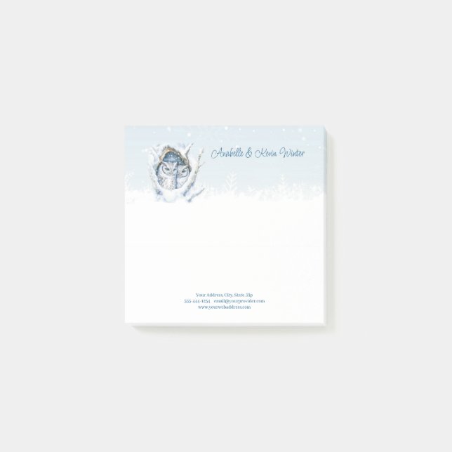 Winter Owls Snowflakes Post-it Notes (Front)