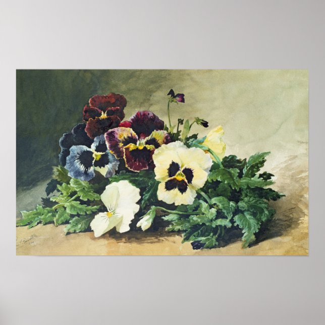 Winter Pansies, 1884 Poster (Front)