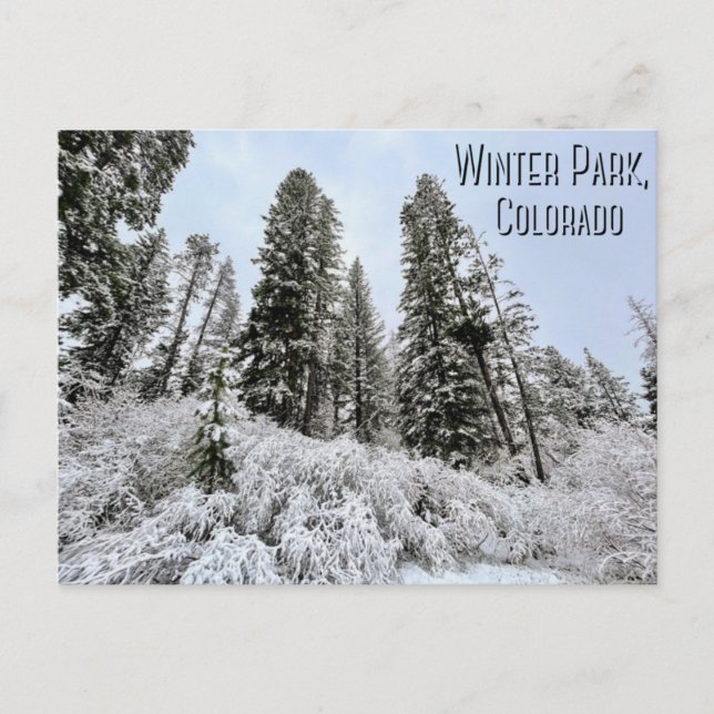 Winter Park, Colorado Postcard (Front)