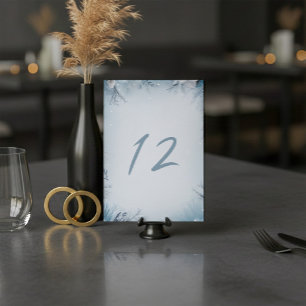 Winter party, snowy icy table number sign