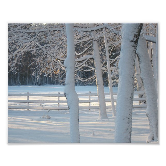 Winter Pasture Photo Print (Front)