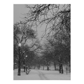 Winter Path Poster