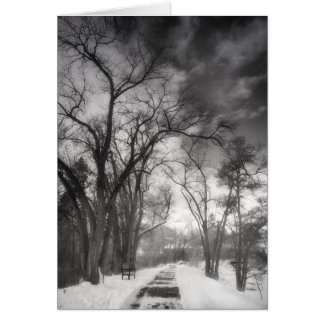 Winter Pathways