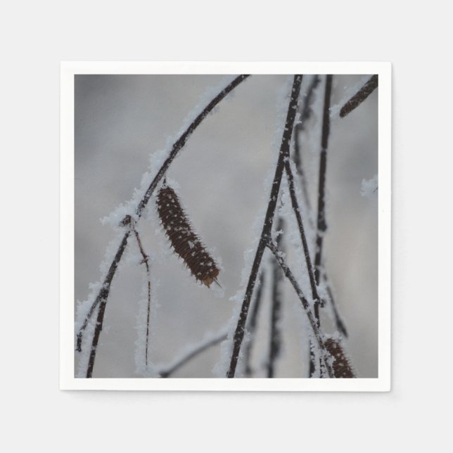 Winter Photo Paper Napkins (Front)