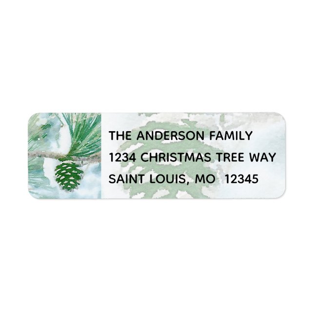 Winter Pine Cone Aquarelle Holiday (Devant)