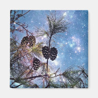 Winter Pine Cones under a starry night sky